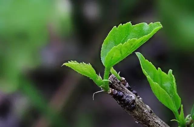 【023期香七微课堂】华彬大夫答患者问