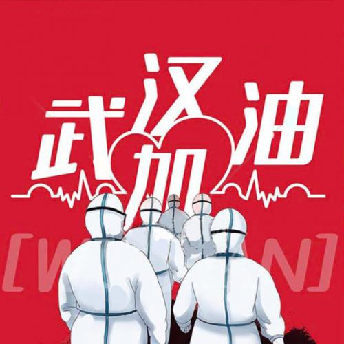 “武汉加油，共渡难关” 第二十次执行进度反馈（2020年2月13日）